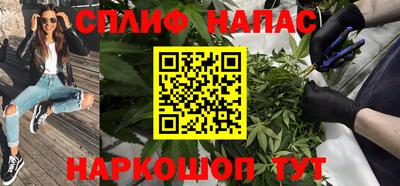 индика Нальчик