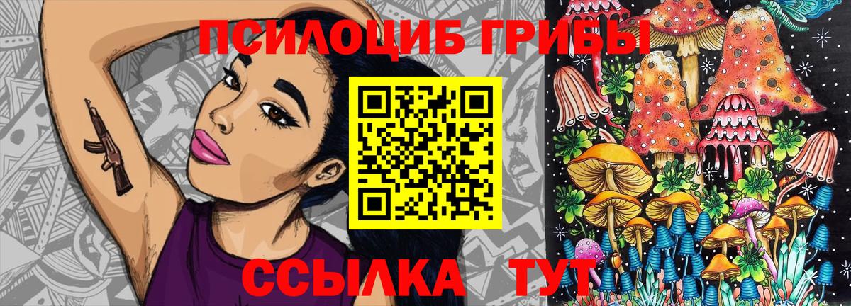 Галлюциногенные грибы Psilocybine cubensis  Вход с VPN  Сургут 